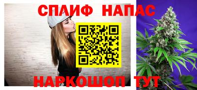 стафф Будённовск