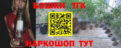 стафф Будённовск