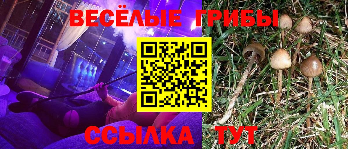 Галлюциногенные грибы Magic Shrooms Череповец